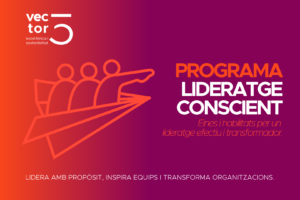Programa lideratge conscient - Verctor5